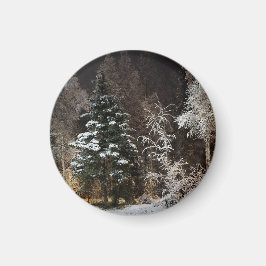 Aimant de nuit en bois noir givrée