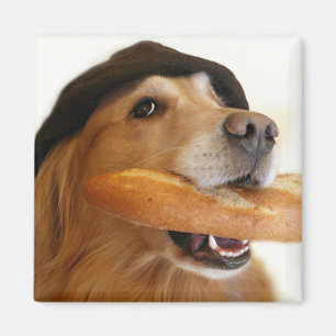 Aimant de pain français de golden retriever