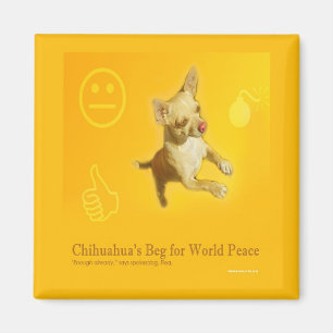 AIMANT DE PAIX DE CHIWAWA