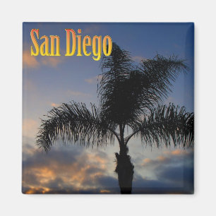 Aimant de palmier de San Diego