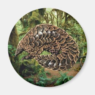 Aimant de Pangolin