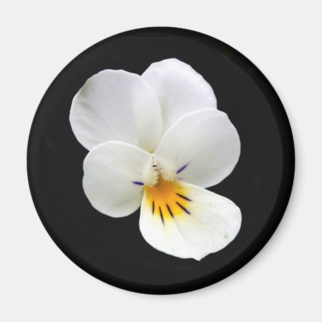 Aimant de Pansy sauvage (Devant)