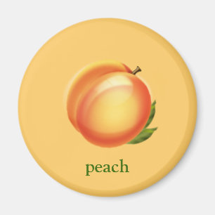 Aimant de pêche