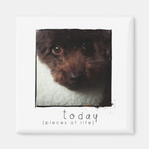 aimant de photo d'ami d'instagram