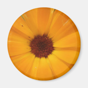Aimant de pluie orange