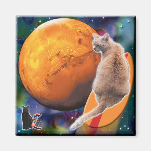 Aimant de poivre de chat étoilé