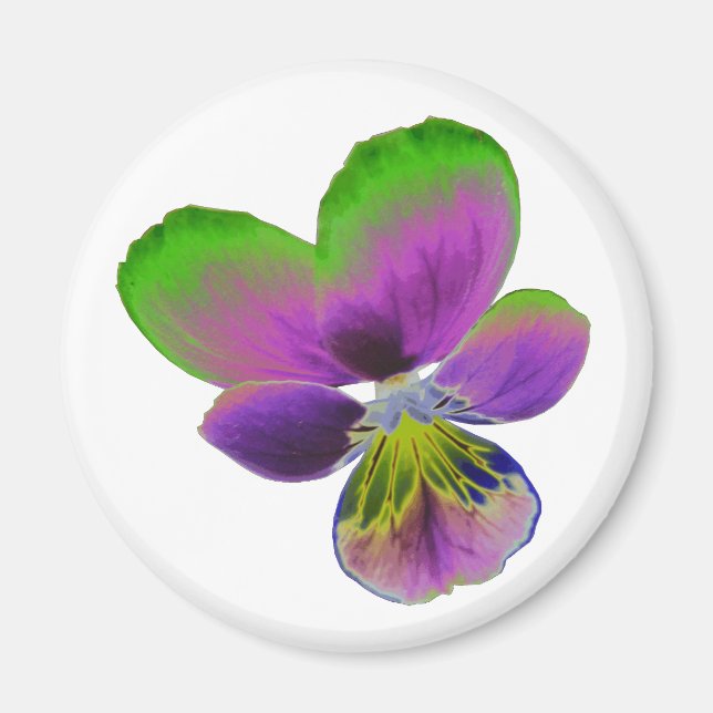 Aimant de purple et vert (Devant)