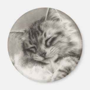 Aimant de ragondin du Maine de Sleepyhead