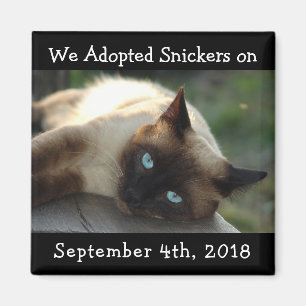 Aimant de rappel personnalisé d'adoption de chats