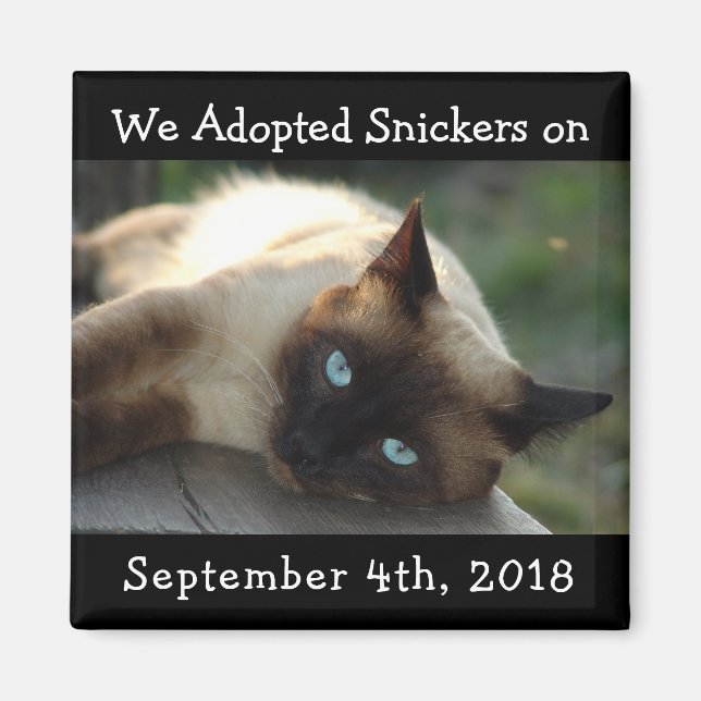 Aimant de rappel personnalisé d'adoption de chats (Devant)