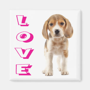 Aimant de réfrigérateur Chien Beagle Puppy Amour
