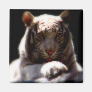 Aimant de réfrigérateur d'art de la nature
