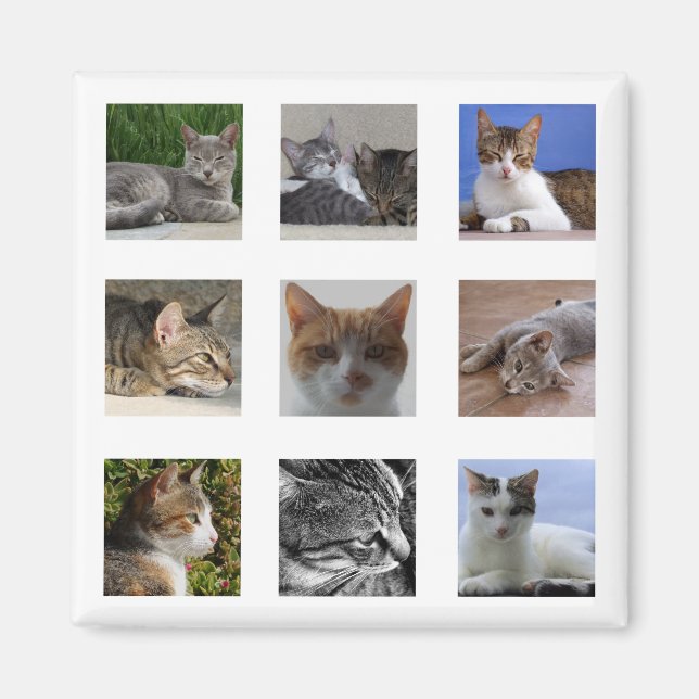 Aimant de réfrigérateur de chat (Devant)