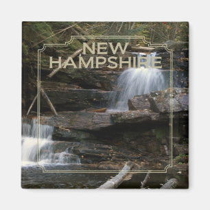 Aimant de réfrigérateur de souvenir d'état du N