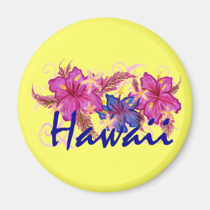 Aimant de réfrigérateur d'Hawaï