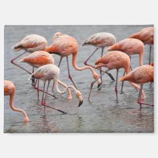 Aimant de réfrigérateur flamant rose