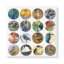 Aimant de réfrigérateur Oiseau
