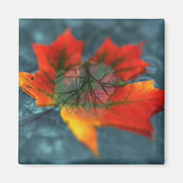 Aimant de rétroréflexion (Devant)