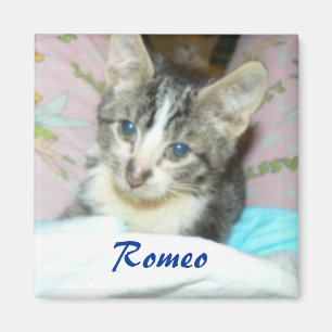 aimant de romeo