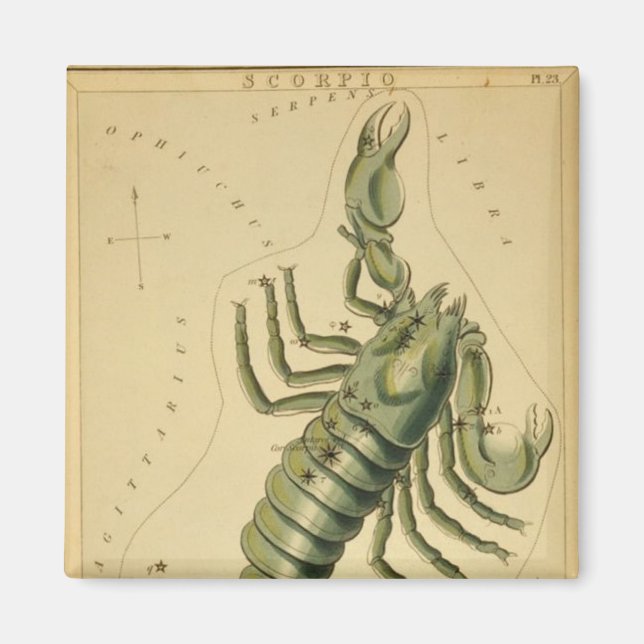 Aimant de scorpion (Devant)