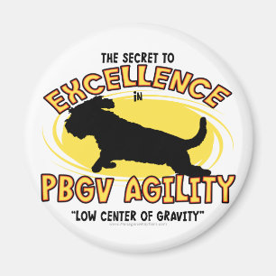 Aimant de secret de l'agilité PBGV
