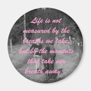 Aimant de soumission