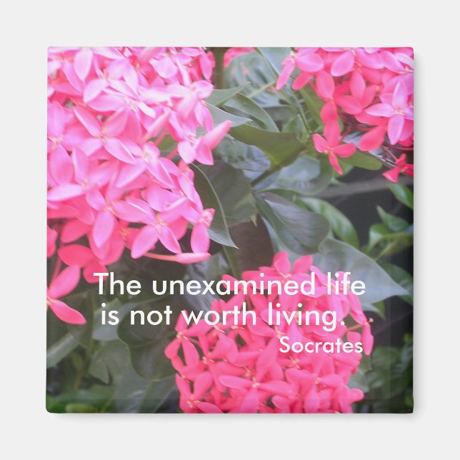 Aimant de soumission motivationnelle Socrates (Devant)