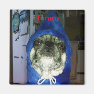 Aimant de sweat - shirt à capuche de Timmy