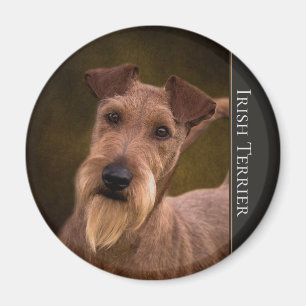 Aimant de Terrier irlandais