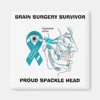 Aimant de tête de flèche