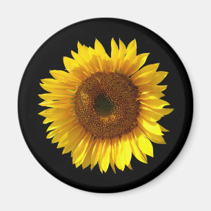 Aimant de tournesol