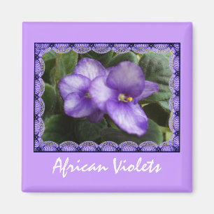 Aimant de violettes africaines
