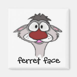 Aimant de visage de furet