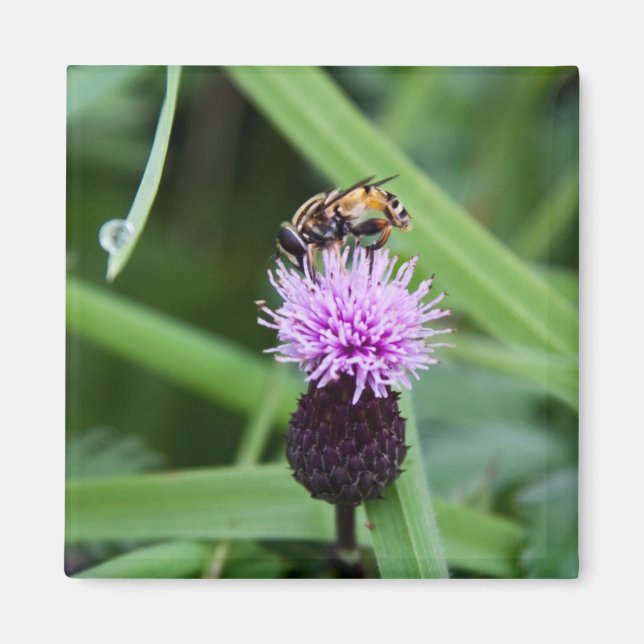 Aimant de vol (Devant)