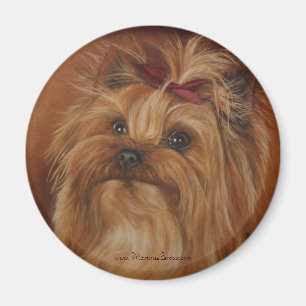 Aimant de Yorkshire Terrier