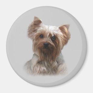 Aimant de Yorkshire Terrier