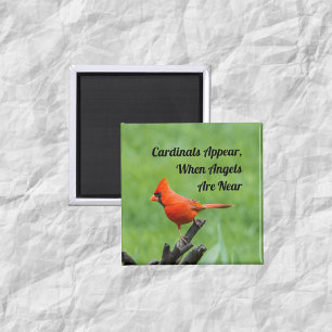 Aimant Décor de l'aimant Apparition de cardinaux près des