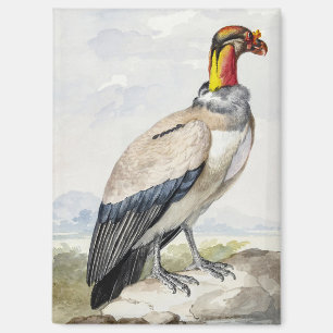 Aimant Décoration murale vibrante et exotique du roi vaut
