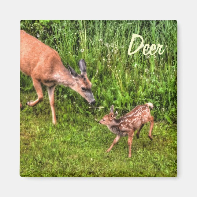 Aimant Deer Doe & Fawn Faune Animal Design (Devant)