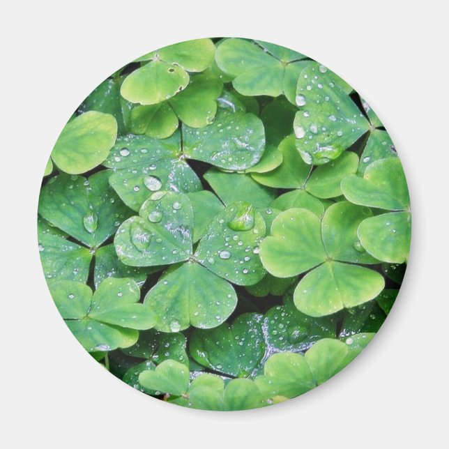 Aimant Deerpark Irlande Bouchons de Dew Clover (Devant)