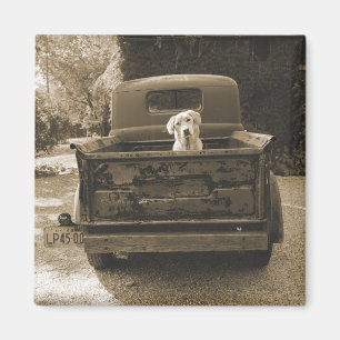 Aimant Dehors de Dodge - Photo de chien