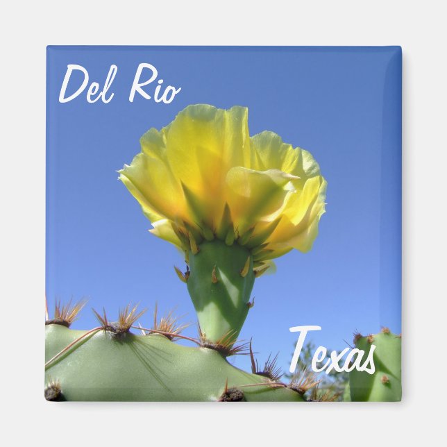 Aimant Del Rio Texas souvenirs fleur de cactus jaune. (Devant)