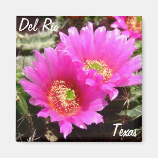 Aimant Del Rio Texas souvenirs fleur de cactus rose