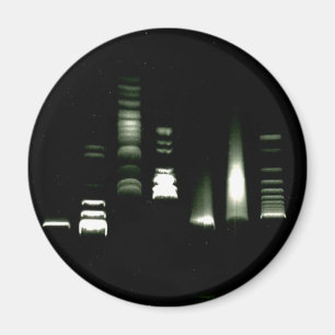 Aimant d'électrophorèse de gel d'ADN