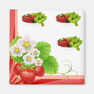 Aimant délicieux de fruits