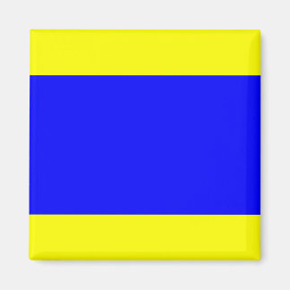 Aimant Delta Nautique "D"