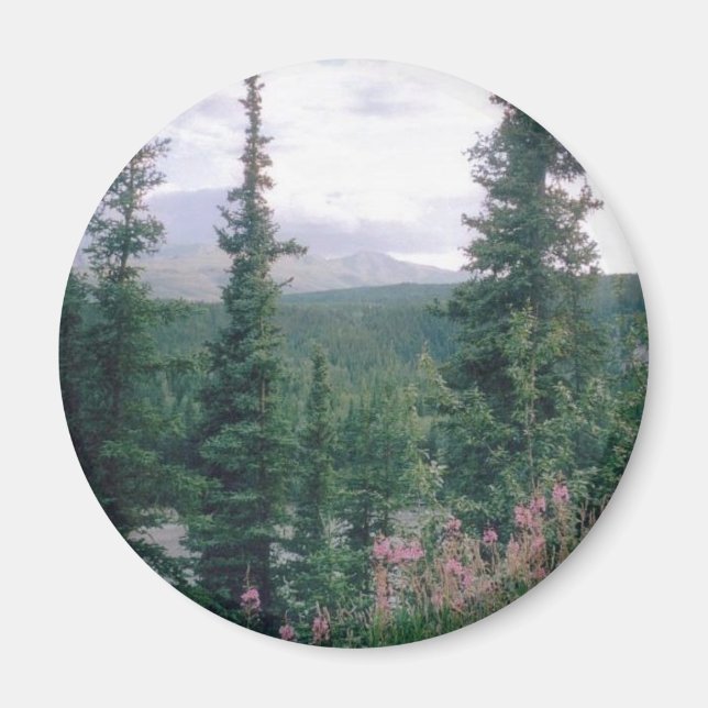 Aimant Denali - Alaska (Devant)