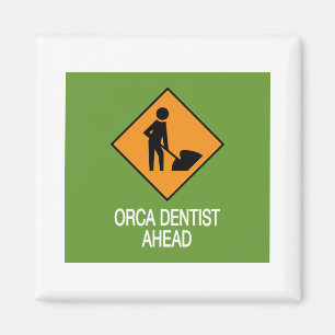 Aimant Dentiste Orca