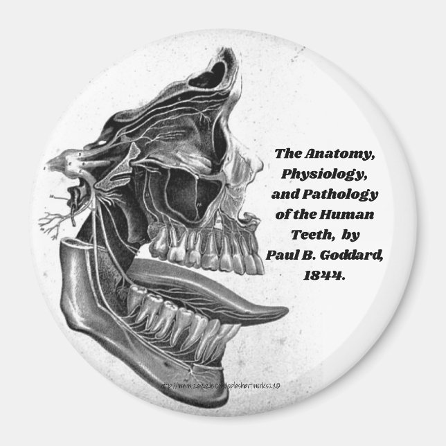 Aimant "Dents" (Devant)