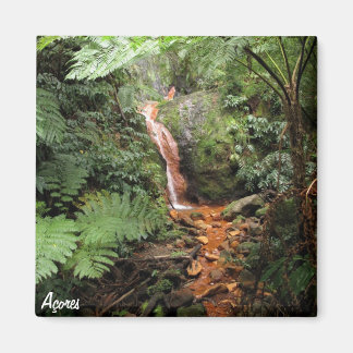 Aimant des Açores - Caldeira Velha